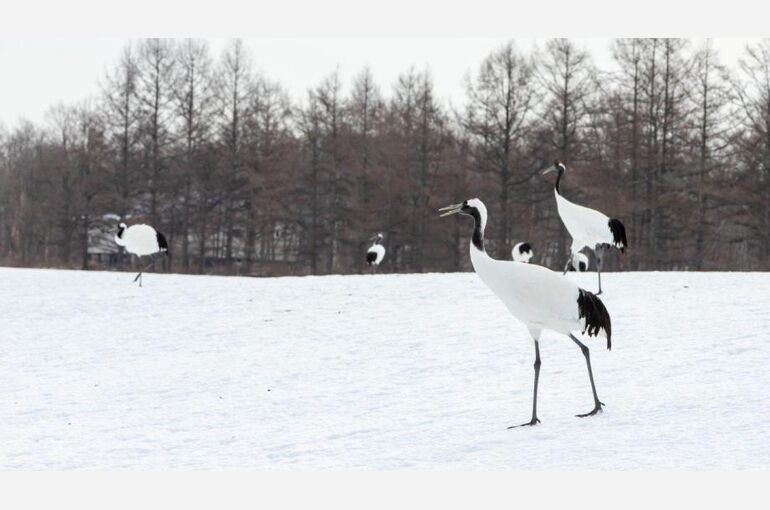 ブログ写真