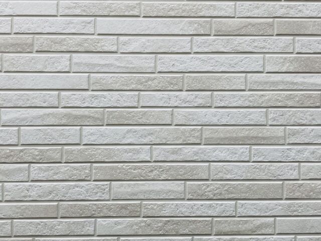 24216764_s